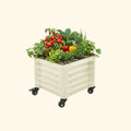 Classic Rolling Cube Planter - 1.75' x 1.75'