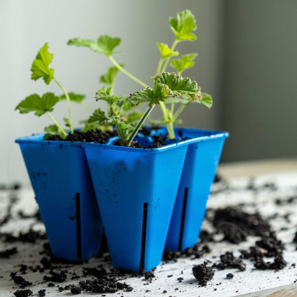 4 Cell Plug Tray Inserts