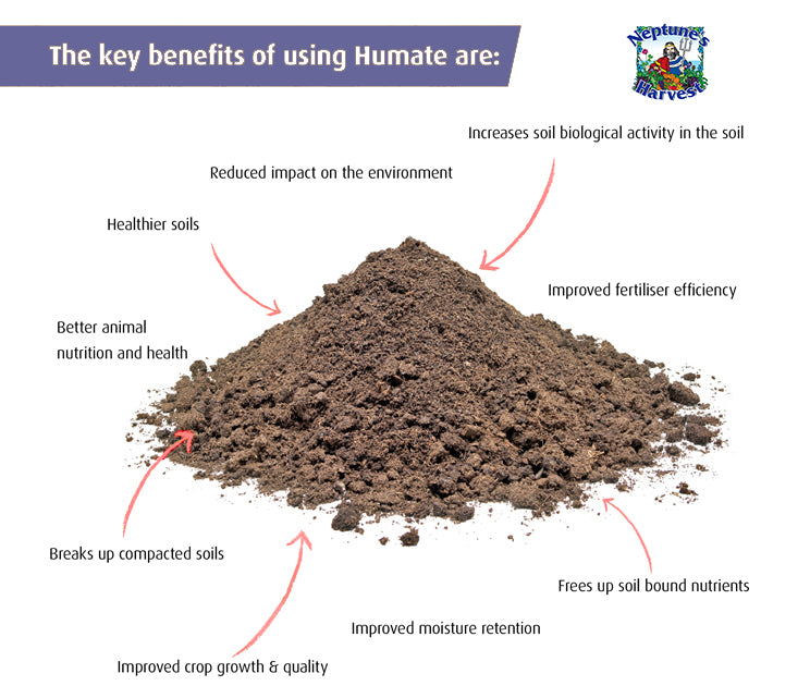 Liquid Humate Concentrate 12%